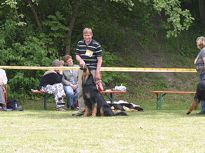 Ajushi vom Drei Ruten Berg auf der Clubsiegerschau in Corburg, offene Klasse Rüden