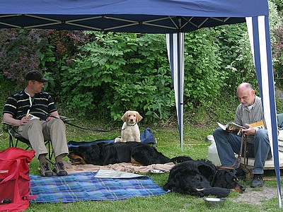 hinten liegend Ajushi, sitzend Bailey vom Drei Ruten Berg und rechts Bilbo vom Blockhaus, Vater von Bailey