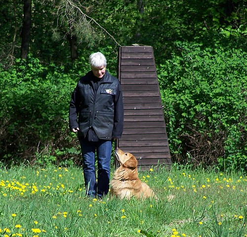 Akino vom Drei Ruten Berg BH-Prüfung