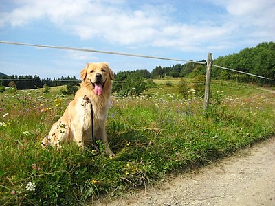 Akito in Thüringen