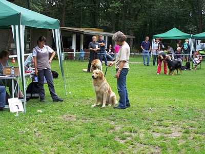 Akito bei der CAC in Glienicke