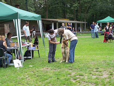 Zähne zeigen