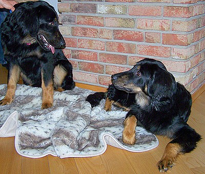 Anchal und Schwester Anju in Wedemark