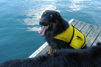 Aruna geht schwimmen in einem reißenden Strom