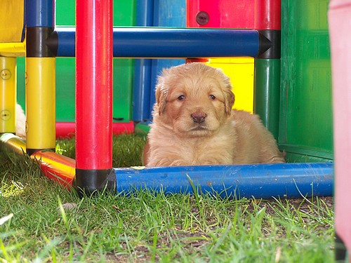 hochfrenquentiert: der Spielplatz