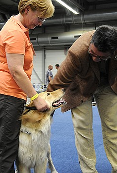 Bailey auf der CAC Erfurt