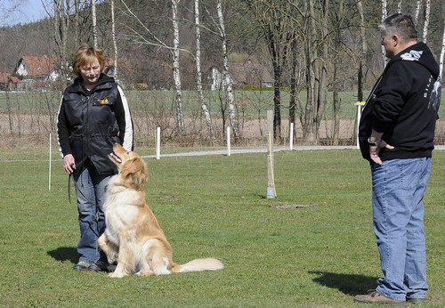 Und wieder, lernen, lernen und nochmals lernen