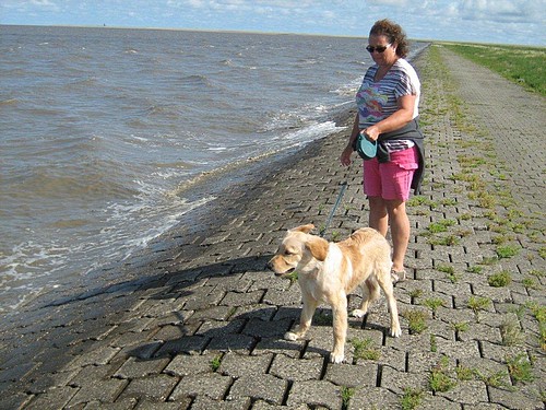 Baschi am großen Wasser im Urlaub