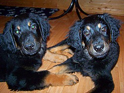 Anchal links, Anju rechts