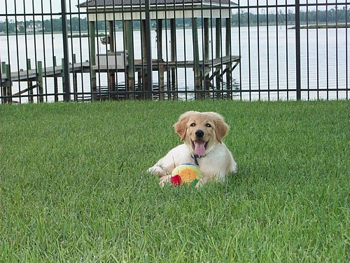 bronski in seinem Garten am Meer