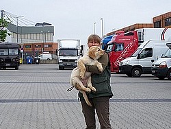 Bronski am Flughafen