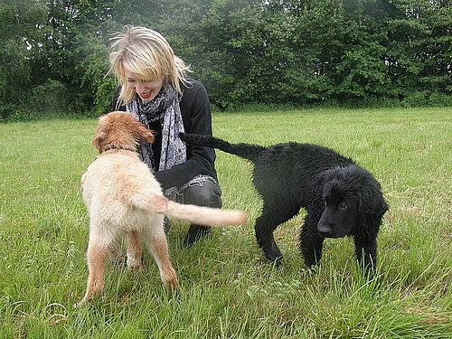 Brummel und Frauchen Lisa besuchen Bailey