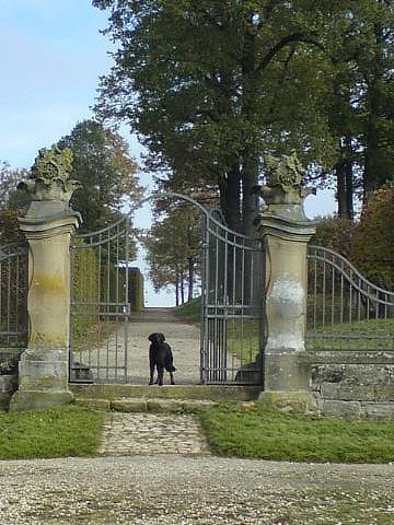 Brummel vom Drei Ruten Berg auf Schlosstour