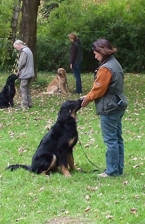 Butz beim Training