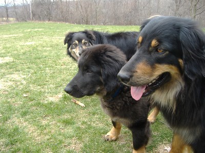 von rechts nach links, Aruna, Asuro und Luca