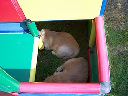 Schlafen im Spielplatz