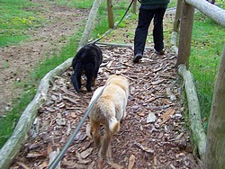 Krämerwald, Untergrundtraining