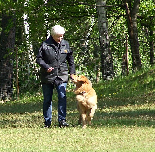 Akino vom Drei Ruten Berg