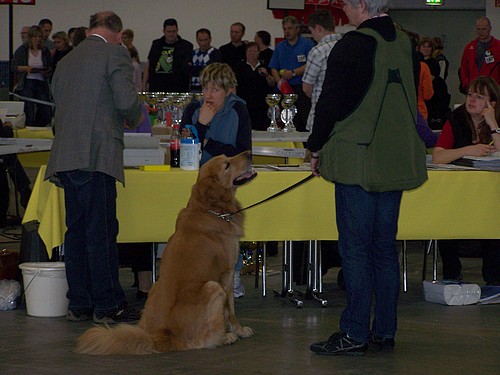 Akino auf der CACIB Berlin