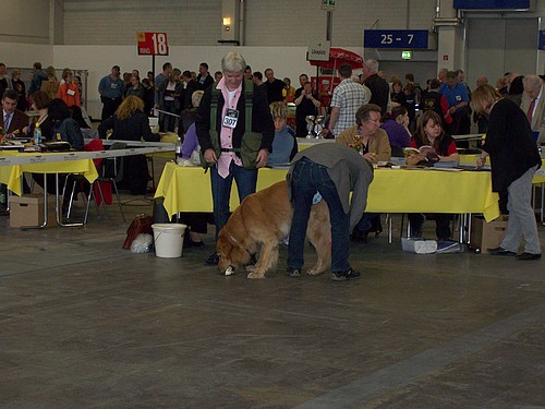 Akino bei der Beurteilung