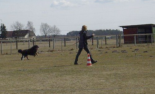 Training kann Freude bereiten