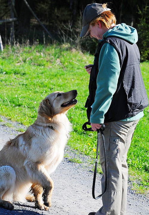 Bailey vom Drei Ruten Berg mit 13 Monaten