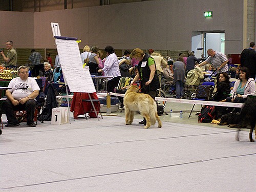 Bailey vom Drei Ruten Berg