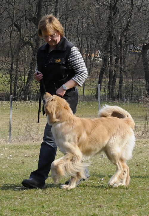 Bailey bei der Ausbildung