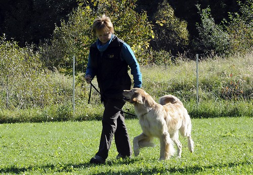 Fleißig, Sabine und Bailey