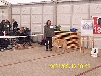 Baschir vom Drei Ruten Berg auf seiner ersten Ausstellung