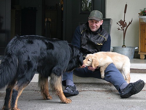 Bailey mit Halbbruder Ajoshi