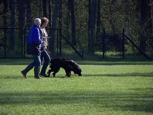 Bibi auf dem Parcour