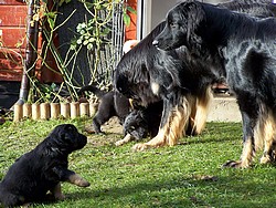 Mutti und Carlotta spielen mit uns