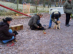 Assina mit Züchterin Kathrin, Anusha und Amita mit Züchterin Nicole und Akino mit Frauchen