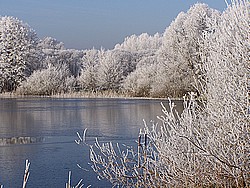 Weihnachtsstimmung