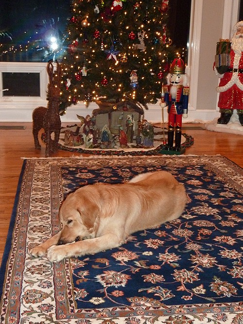 Weihnachten in Mississippi