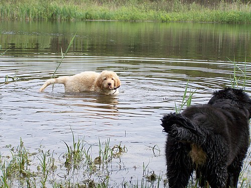 Und wieder ins Wasser