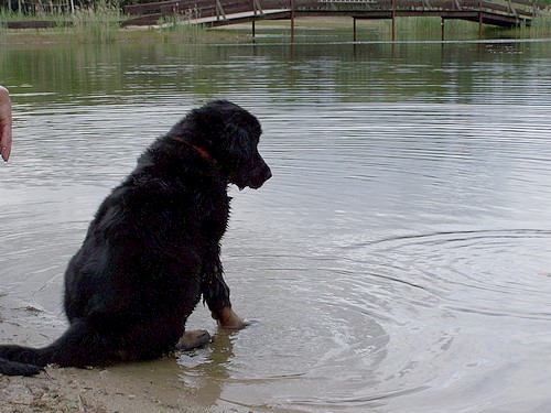 Wassersitzen