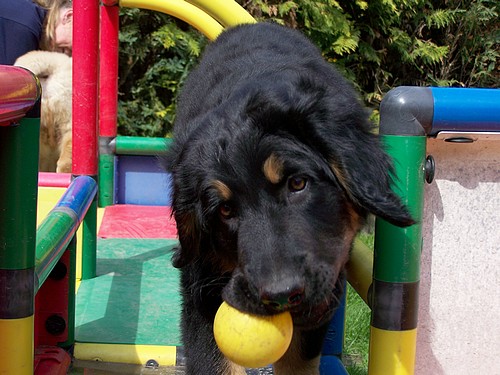 Butz im Spielplatz