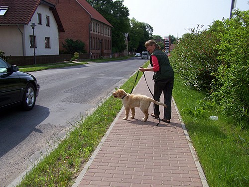 Stadtttraining