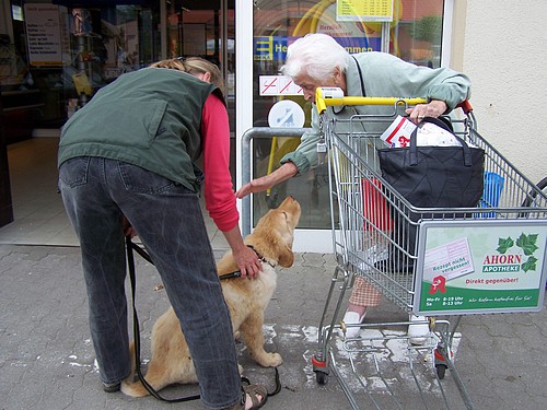 Bekannstschaft mit Einkaufswagen