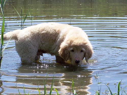 Wasserspiel