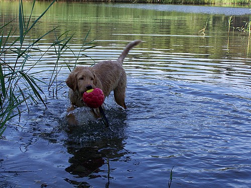 Wasserspiele