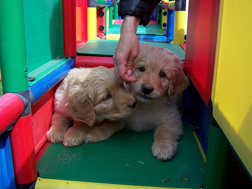 Toben im Spielplatz