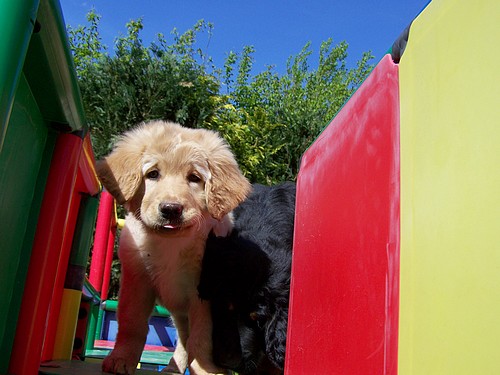 Im Spielplatz