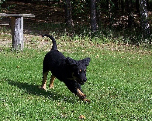 Spielen am See