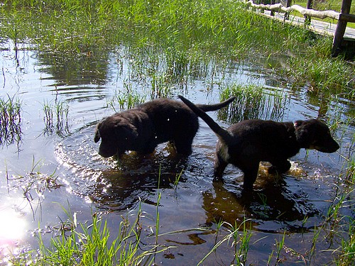 Wasserspiel