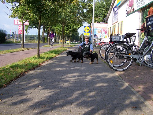 Stadttraining