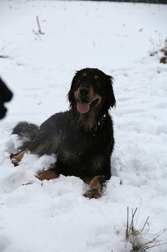 Chanty im Schnee