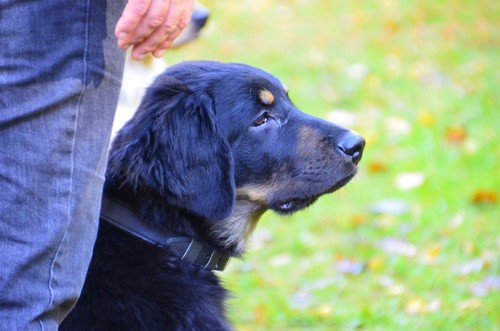 Chanty vom Drei Ruten Berg